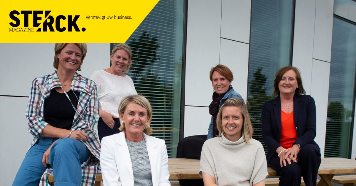 bouwbedrijven dewaele