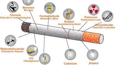 bouwbedrijf amelinckx